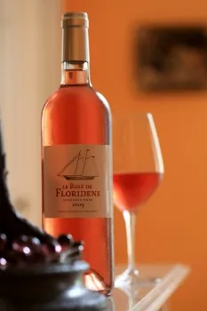 Vinhos Rosé